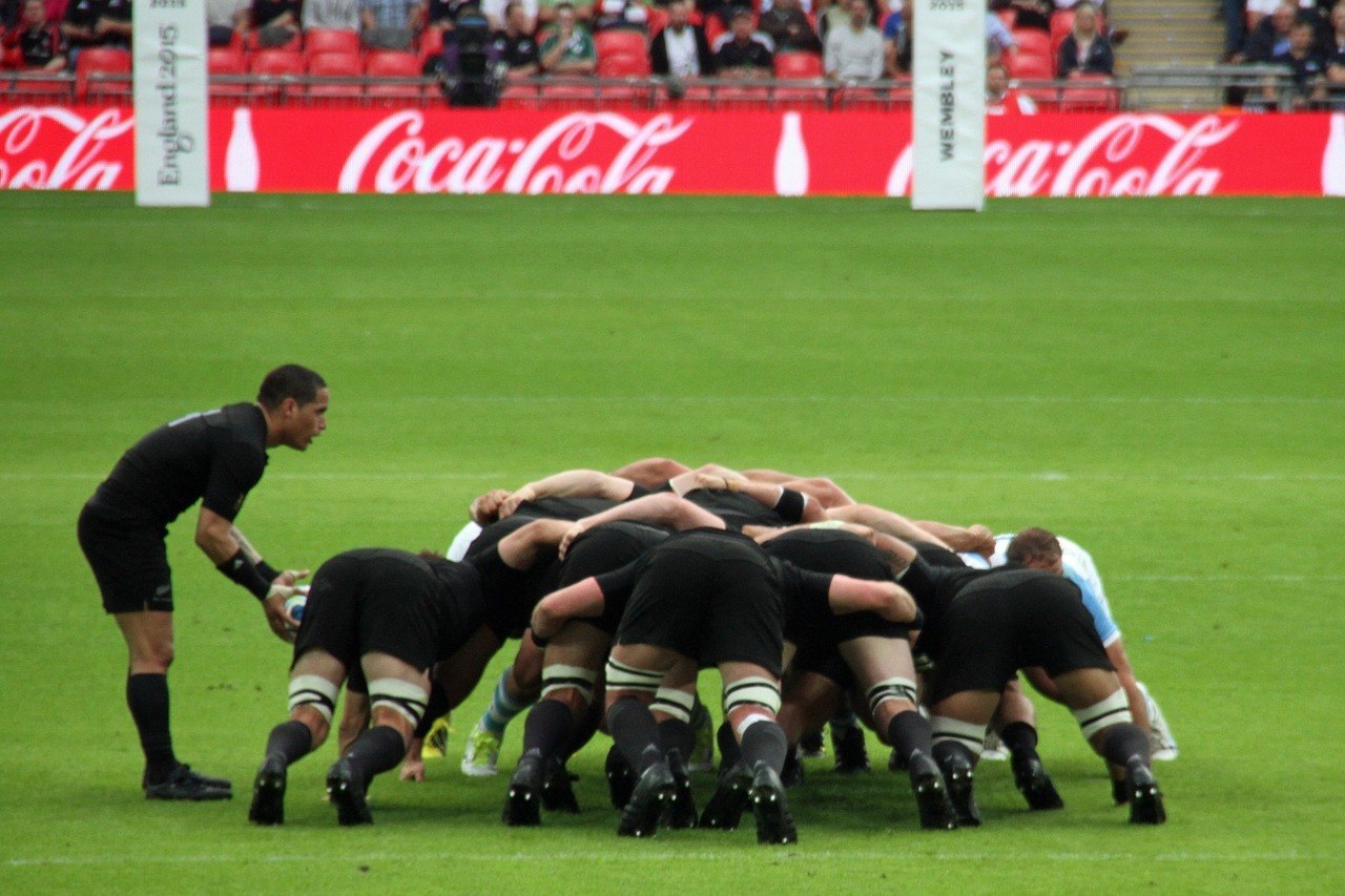 Wellington NZ Rugby - Best things to do