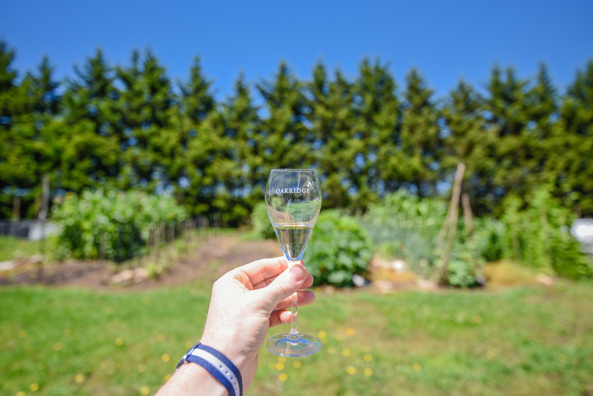 Yarra Valley Wine Tasting - Day Trips from Melbourne 2019