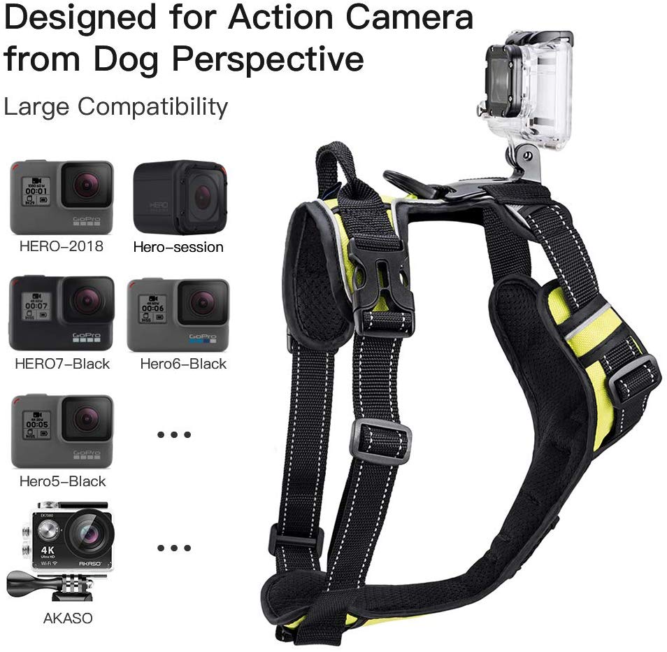 GoPro Dog Harness - Fun Cheap Gifts for Photographers