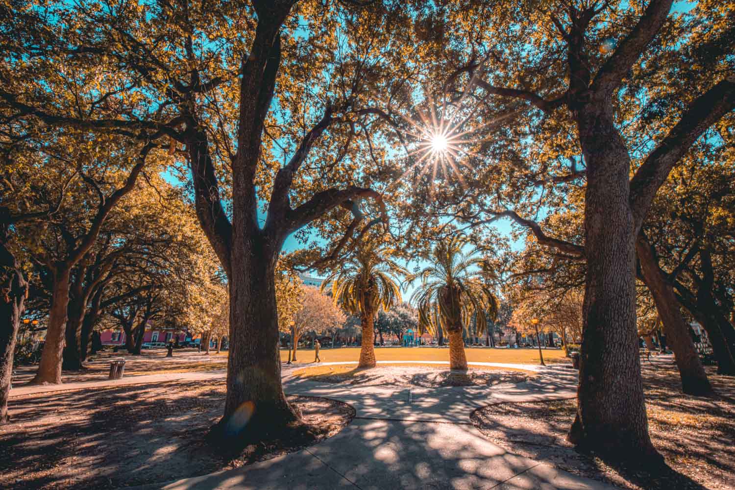 Washington Square Park - 2 Days in New Orleans 