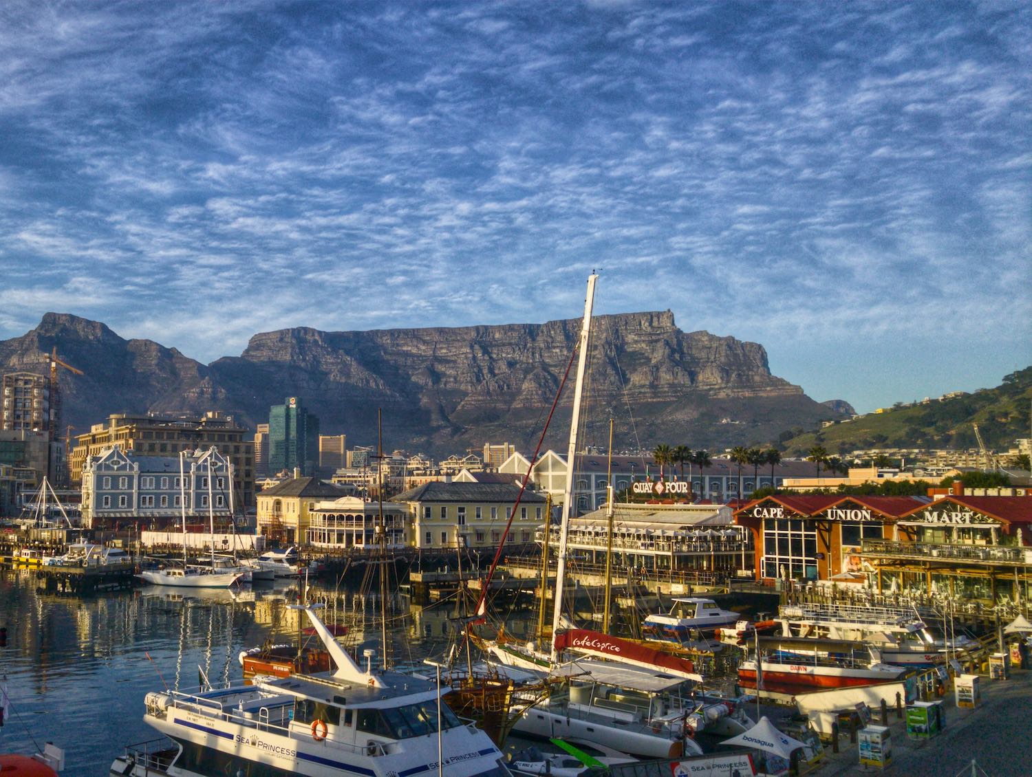 Best Airbnbs in Cape Town, South Africa 2020