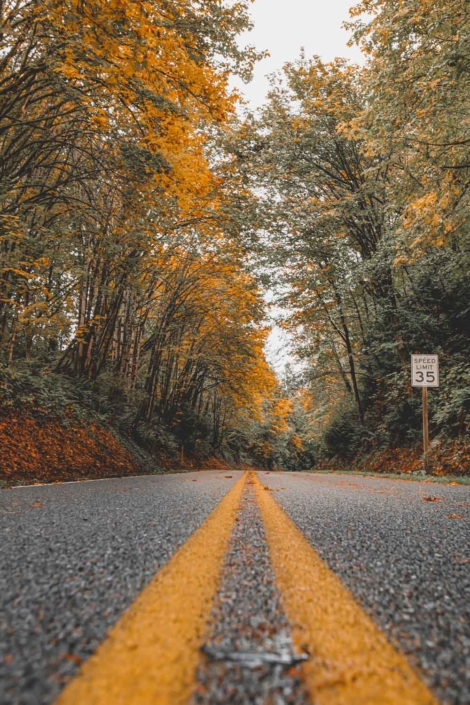 100+ Road Trip Quotes & Captions to Inspire Your Next Adventure