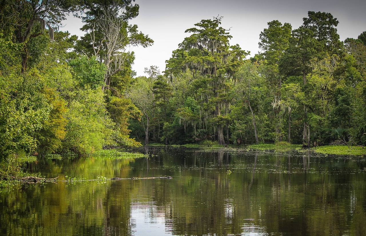 Day Trips from New Orleans