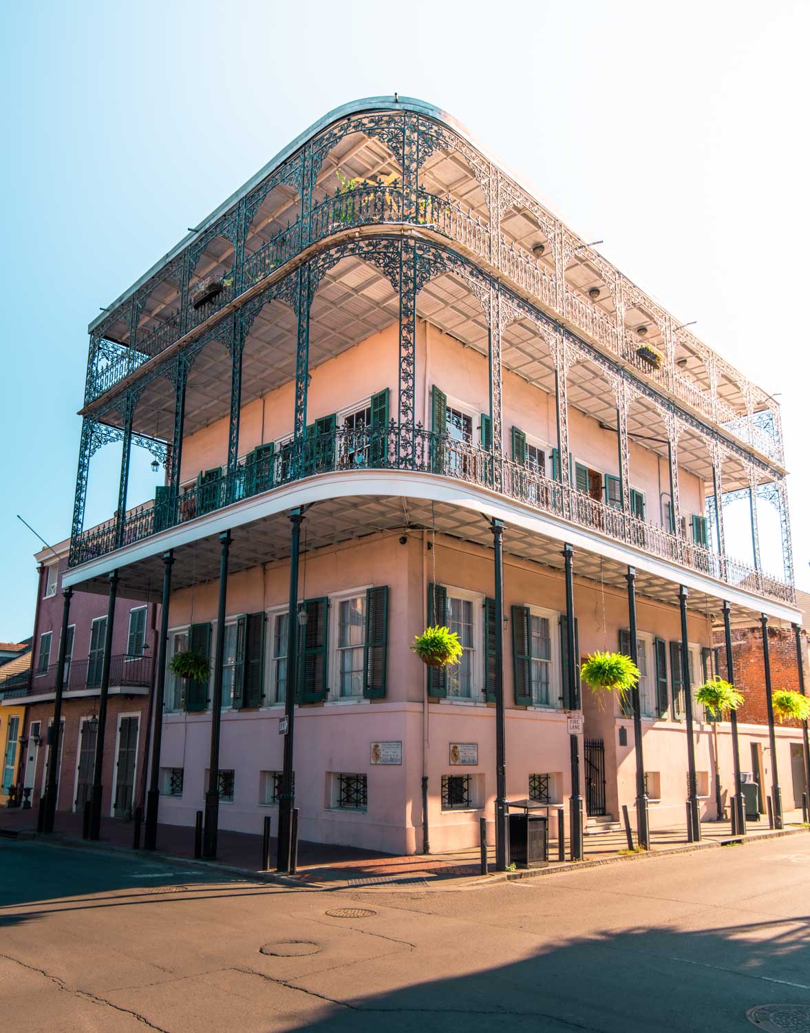 Fun New Orleans Facts 