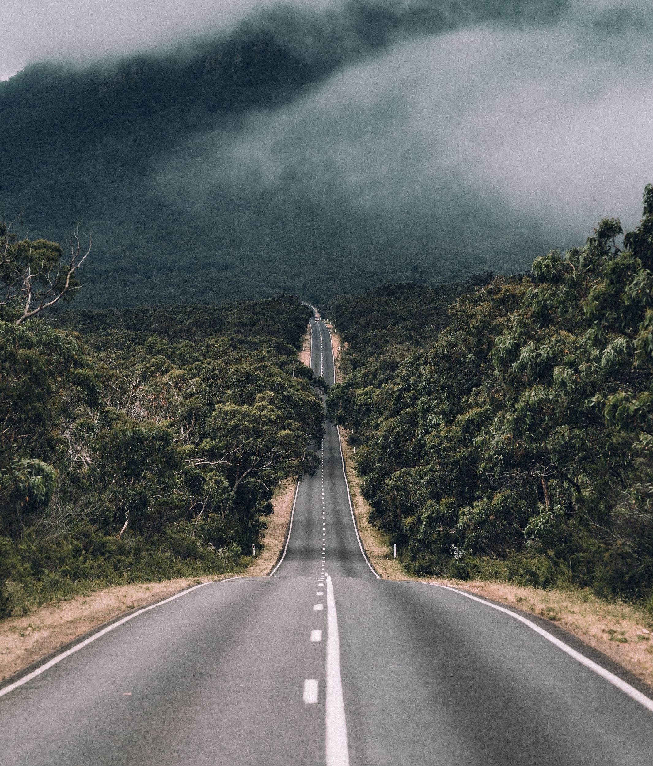 160 Road Quotes To Contemplate On Your Journey