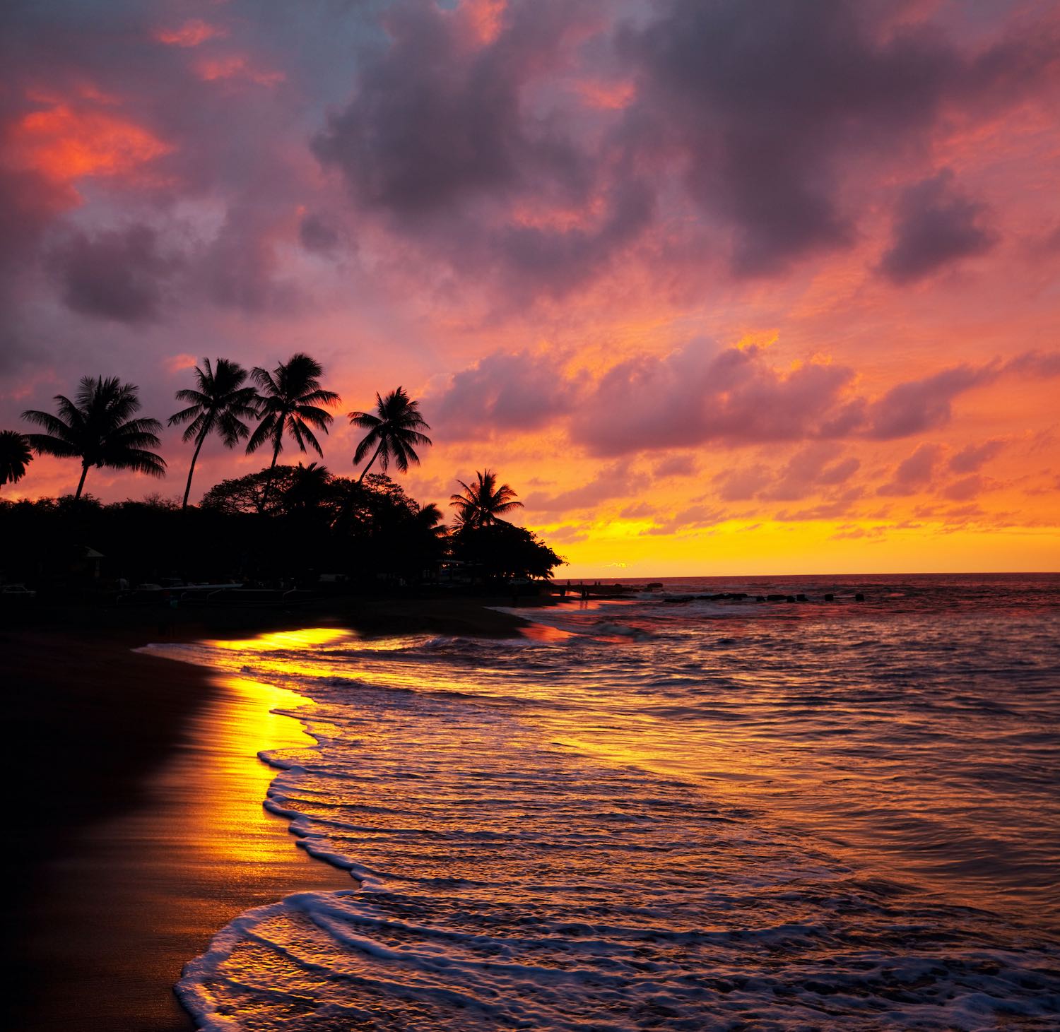 Airbnbs in Hawaii 