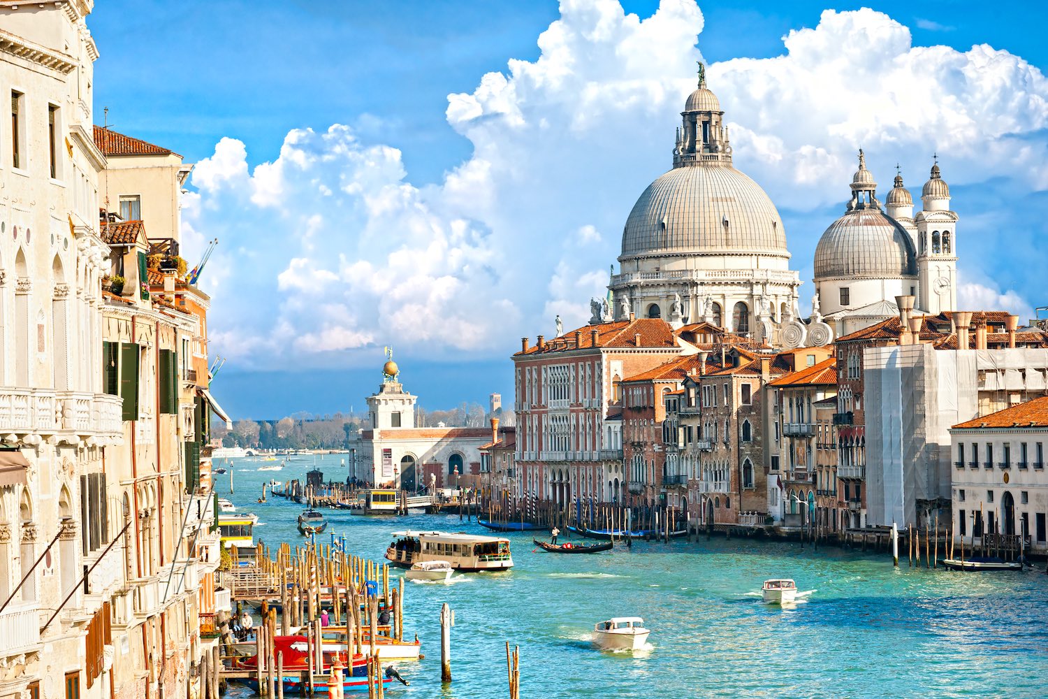 airbnb tours venice