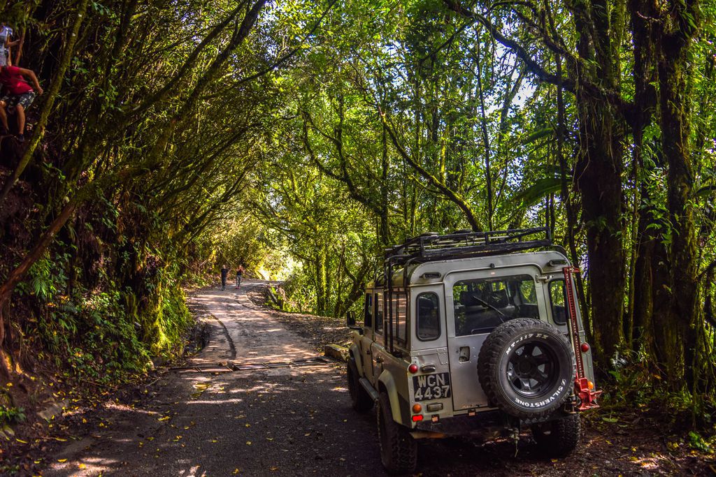 Cameron Highlands - Places to Visit in Malaysia