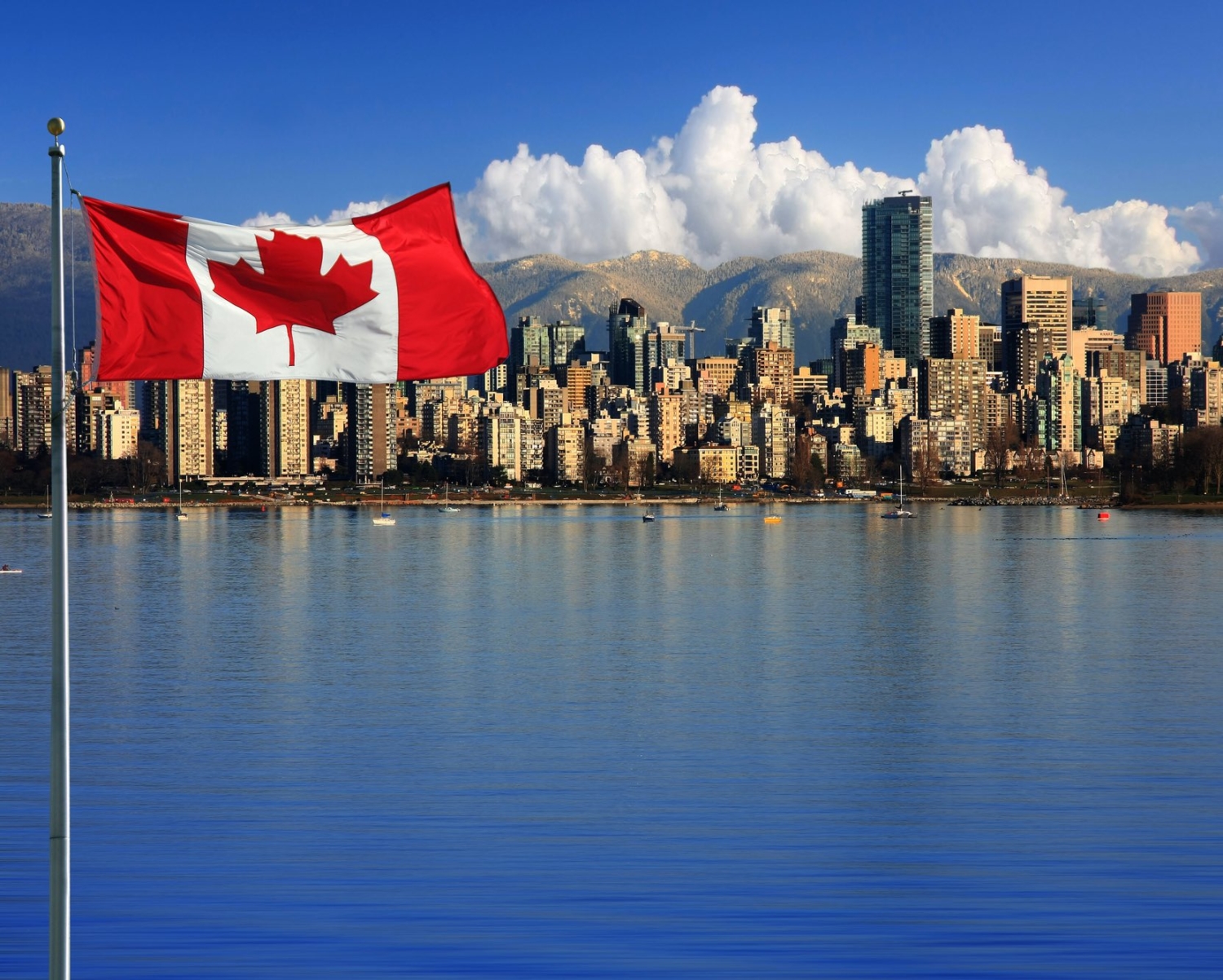 17 Coolest & Best Airbnbs in Vancouver, Canada Airbnb Vancouver