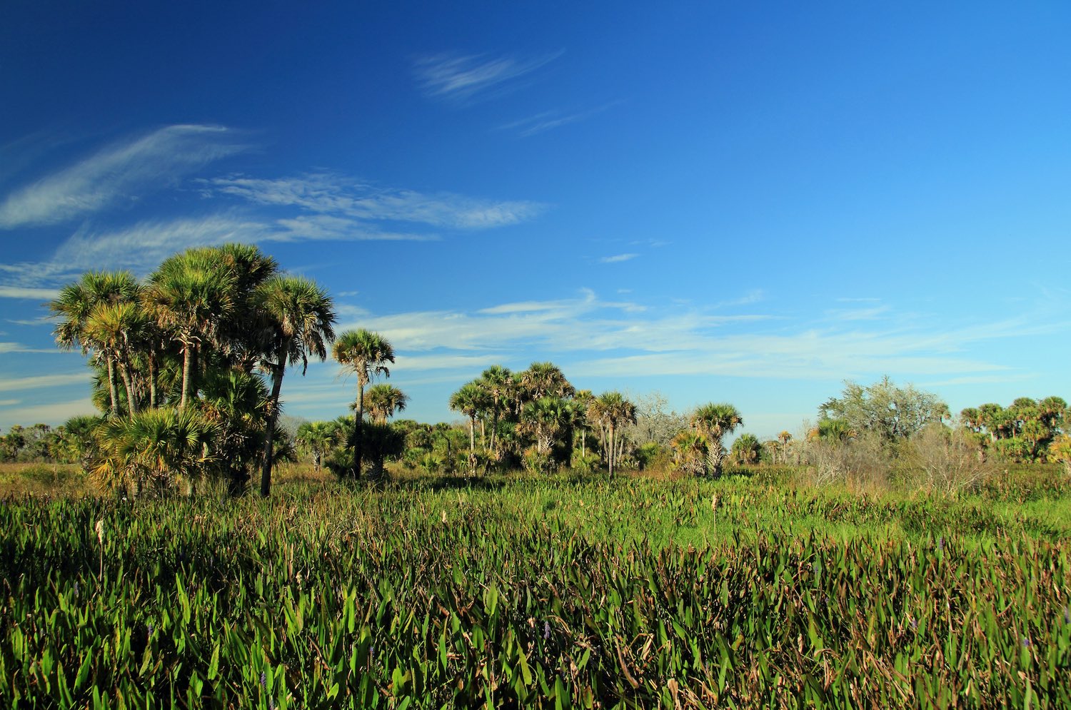 Kissimmee - Day Trips from Orlando, Florida