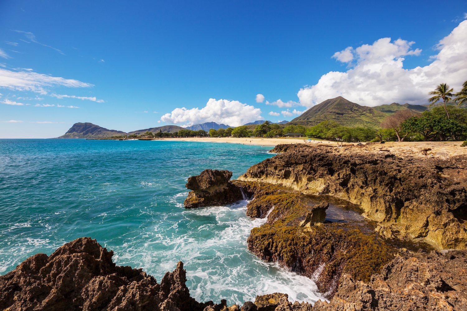 Oahu - Hawaii Airbnb