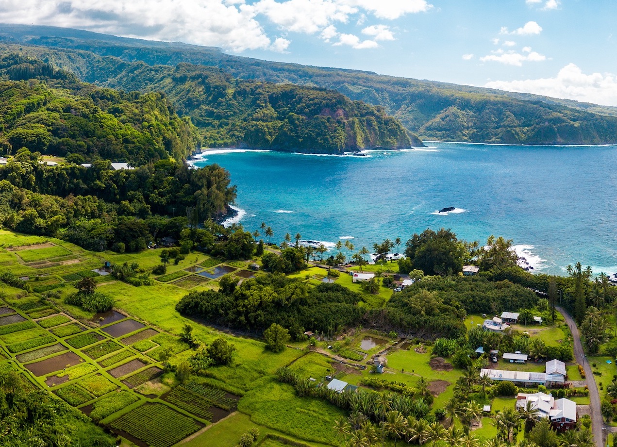 Road to Hana - Best Airbnbs in Hawaii