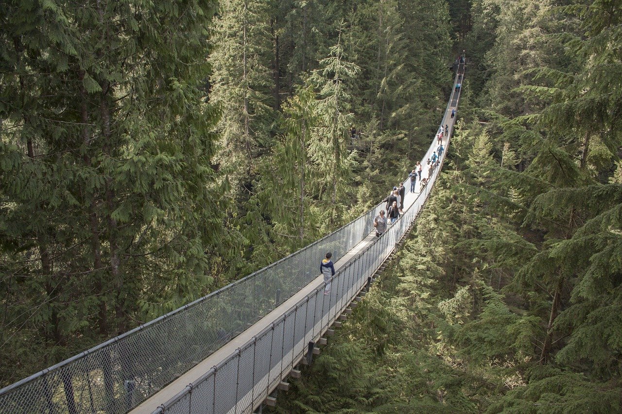 capilano bridge - airbnbs in vancouver