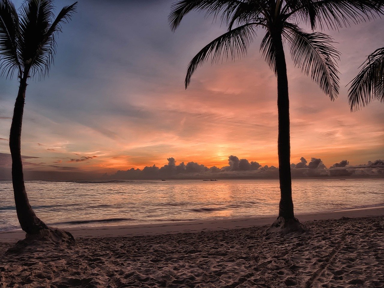 punta cana - Warm Destinations To Visit in february