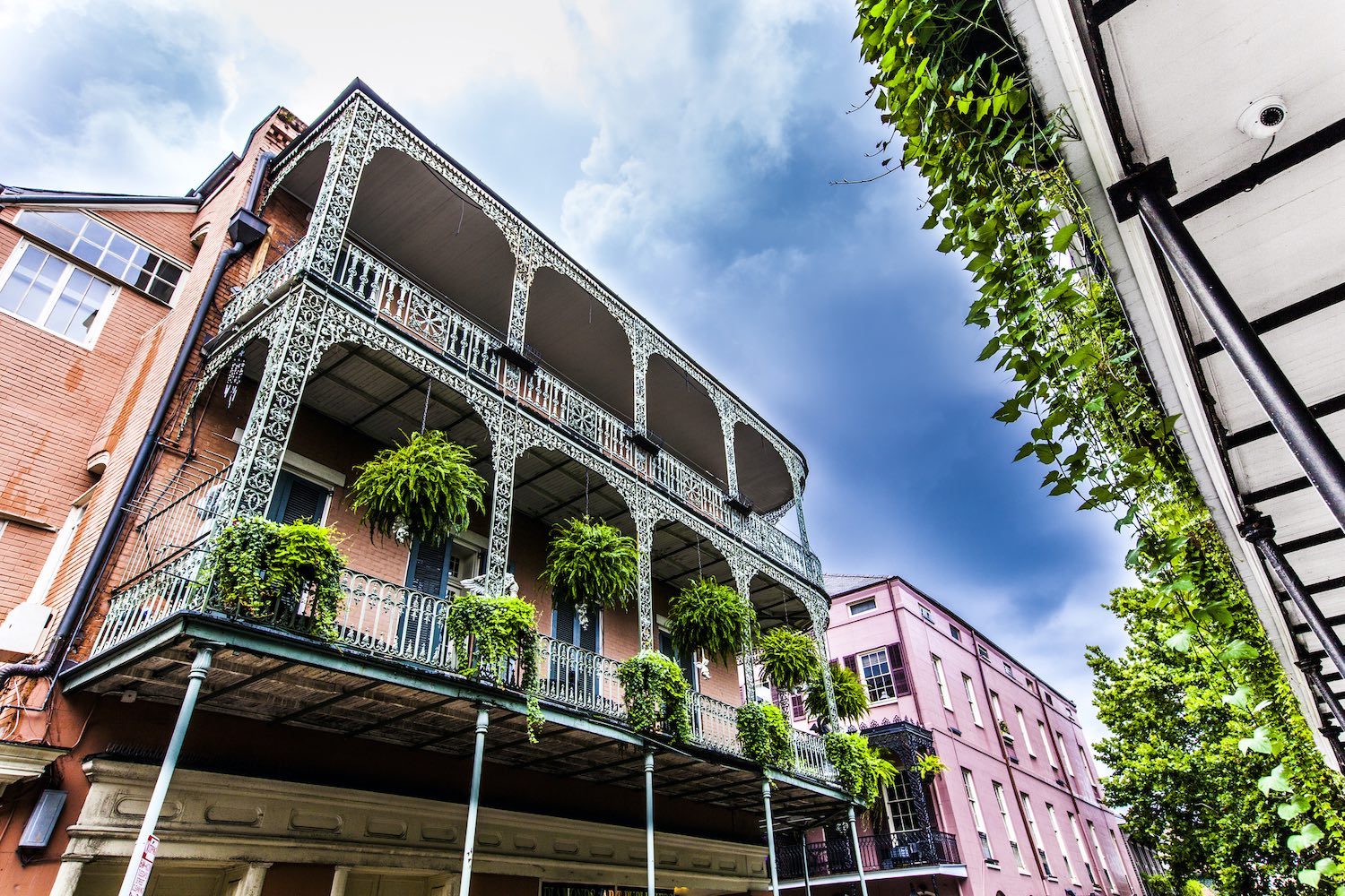 Airbnbs in New Orleans