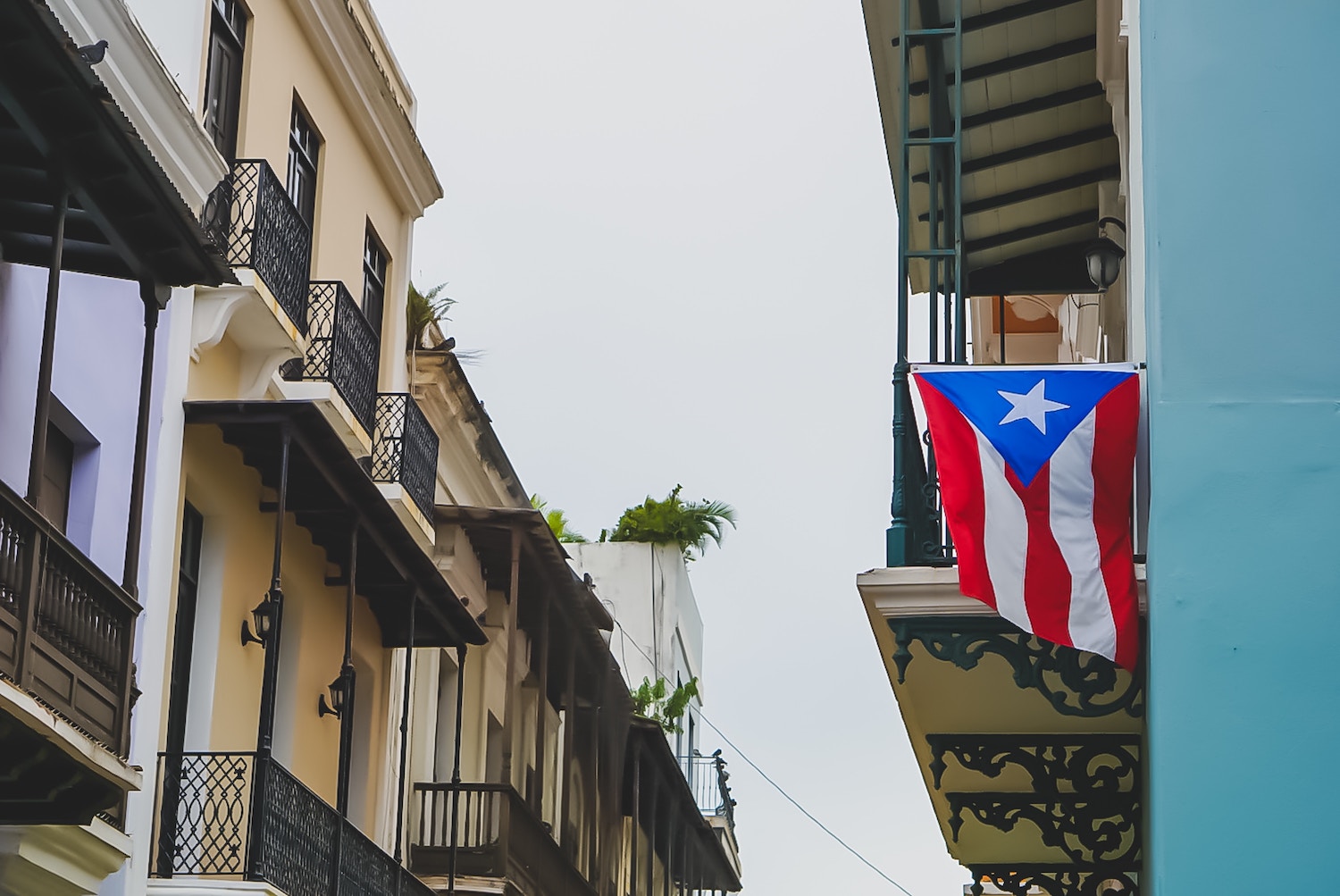 Budget Friendly Airbnbs in Puerto Rico