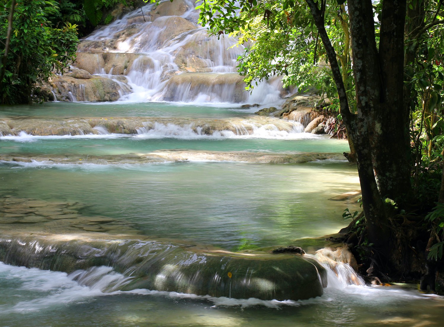 Dunn's River Falls, Jamaica Airbnb