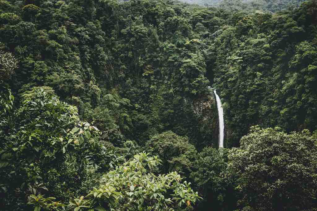 Waterfall - Airbnbs in Costa Rica