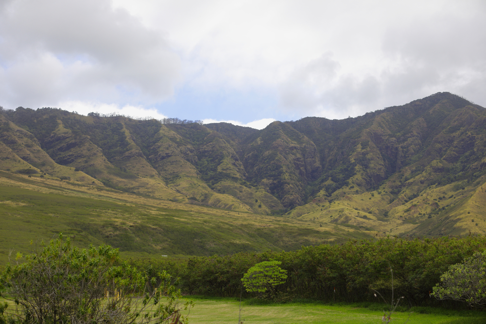 Beach Airbnbs In Oahu