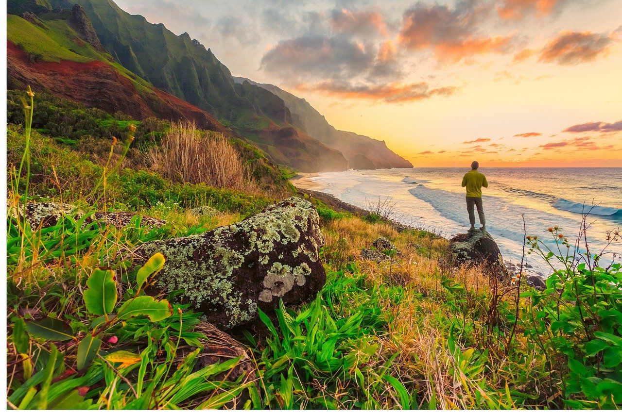 Cheap Airbnbs In Oahu