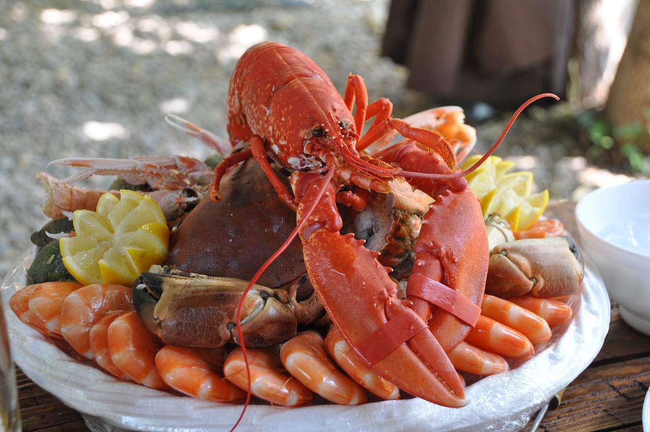 Lobster Maine Airbnb