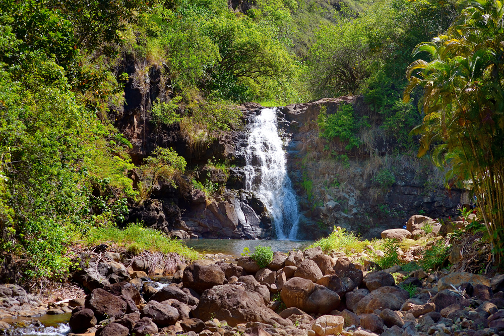 Luxury Oahu Airbnb