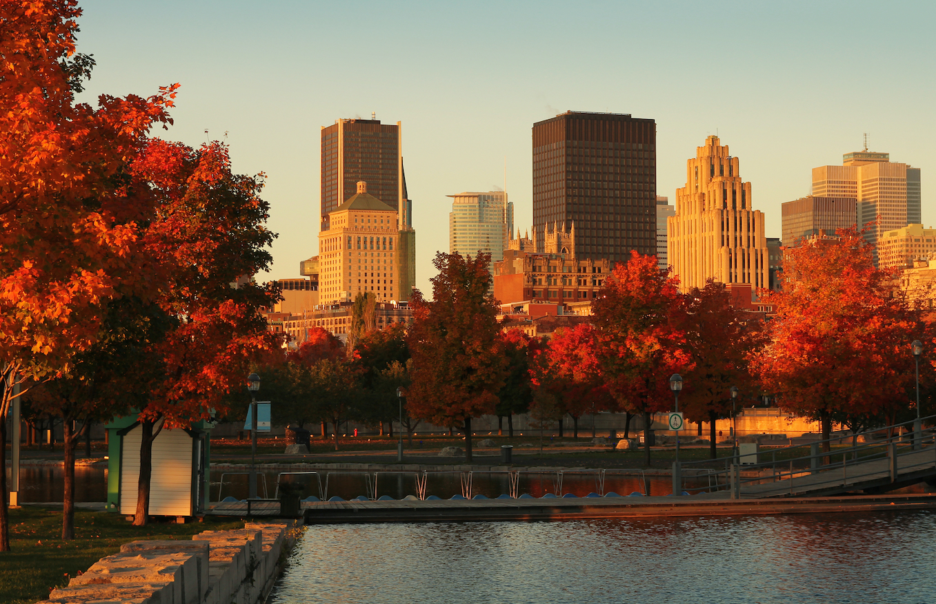 Montreal Airbnb