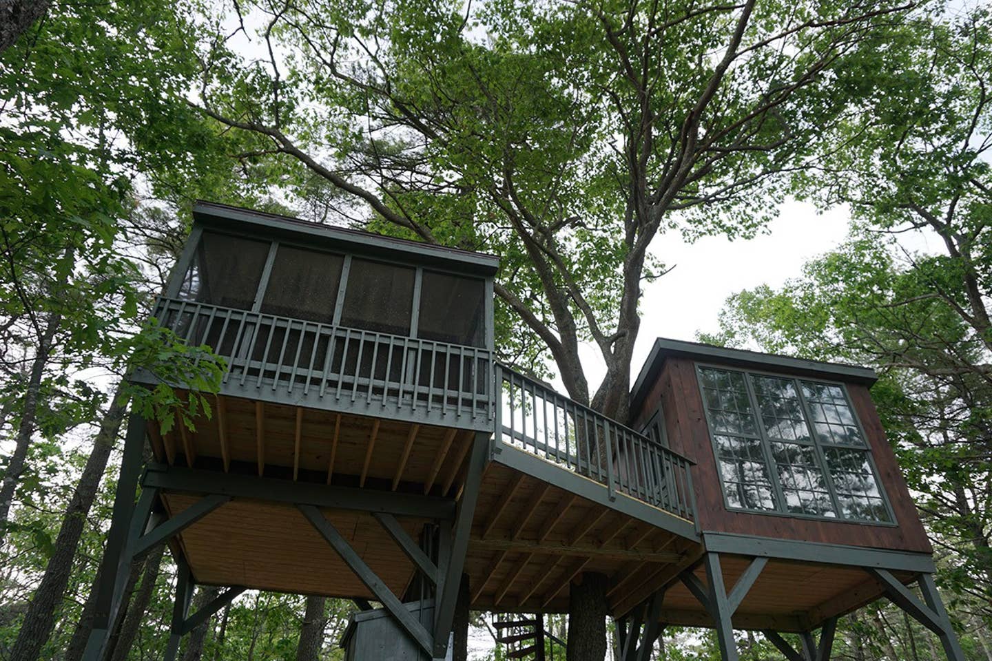 Tree house airbnb maine