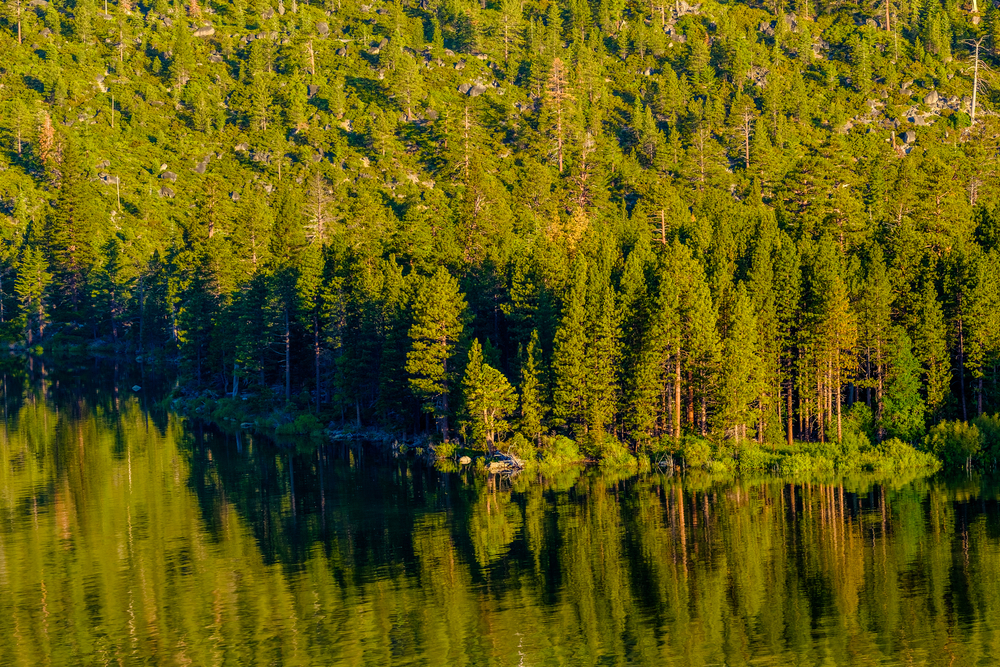 Unique Lake Tahoe Airbnb