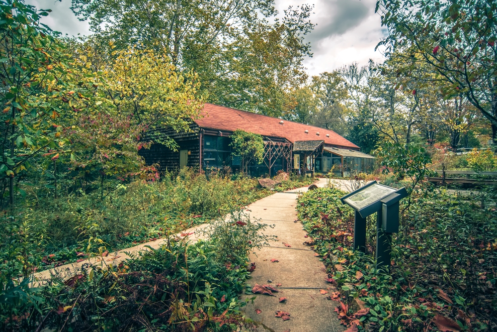 Asheville Airbnbs For Groups