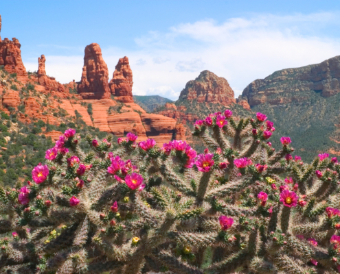 Best Airbnbs In Sedona