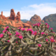 Best Airbnbs In Sedona