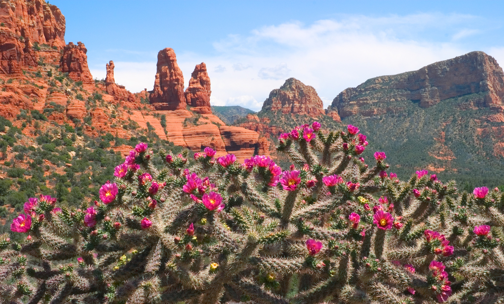 Best Airbnbs In Sedona