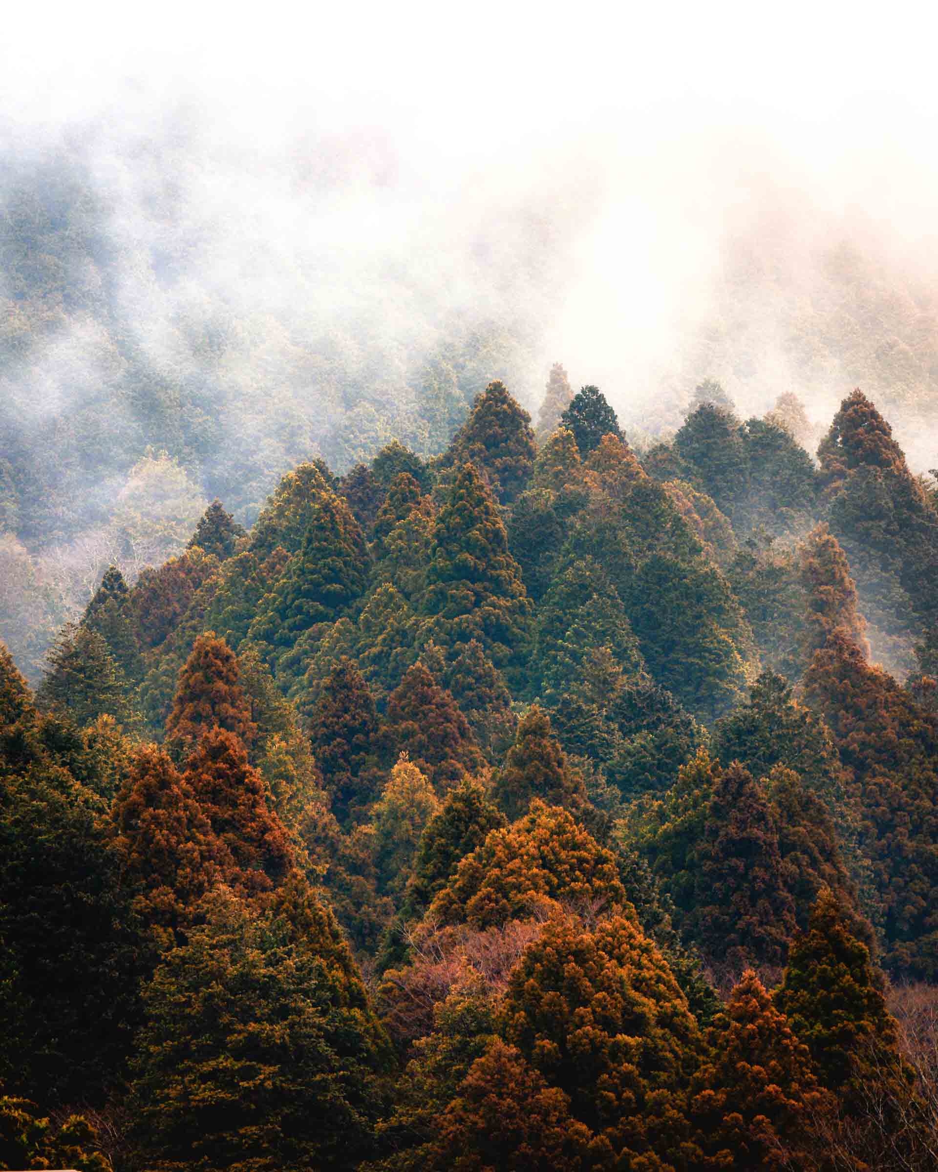 Hakone, Japan