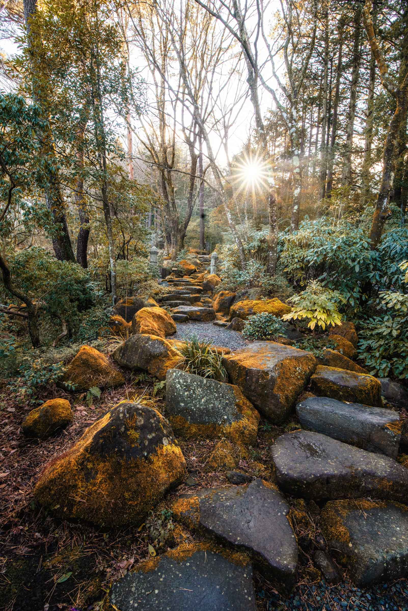 Hakone, Japan Gardens