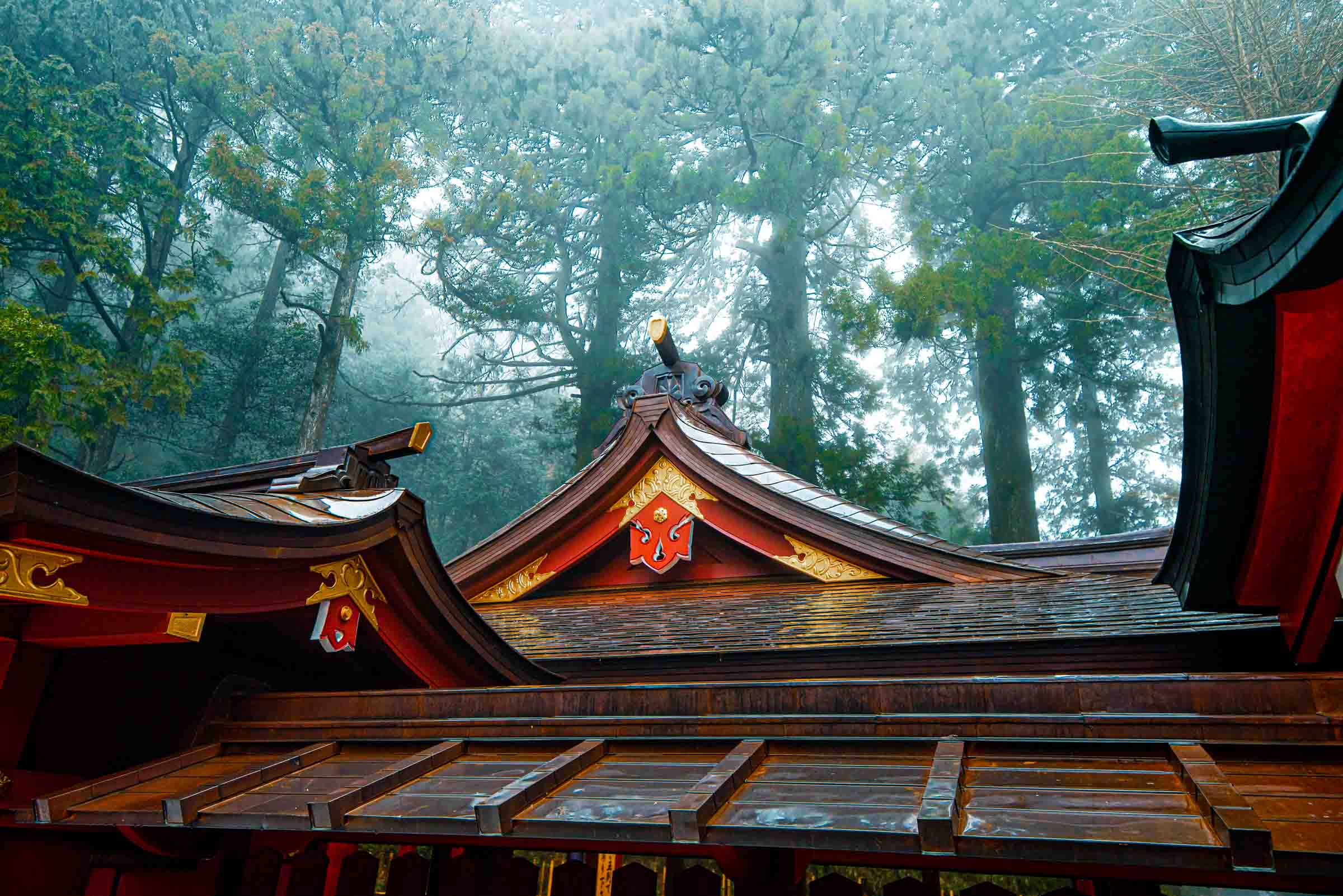 Hakone Shrine 