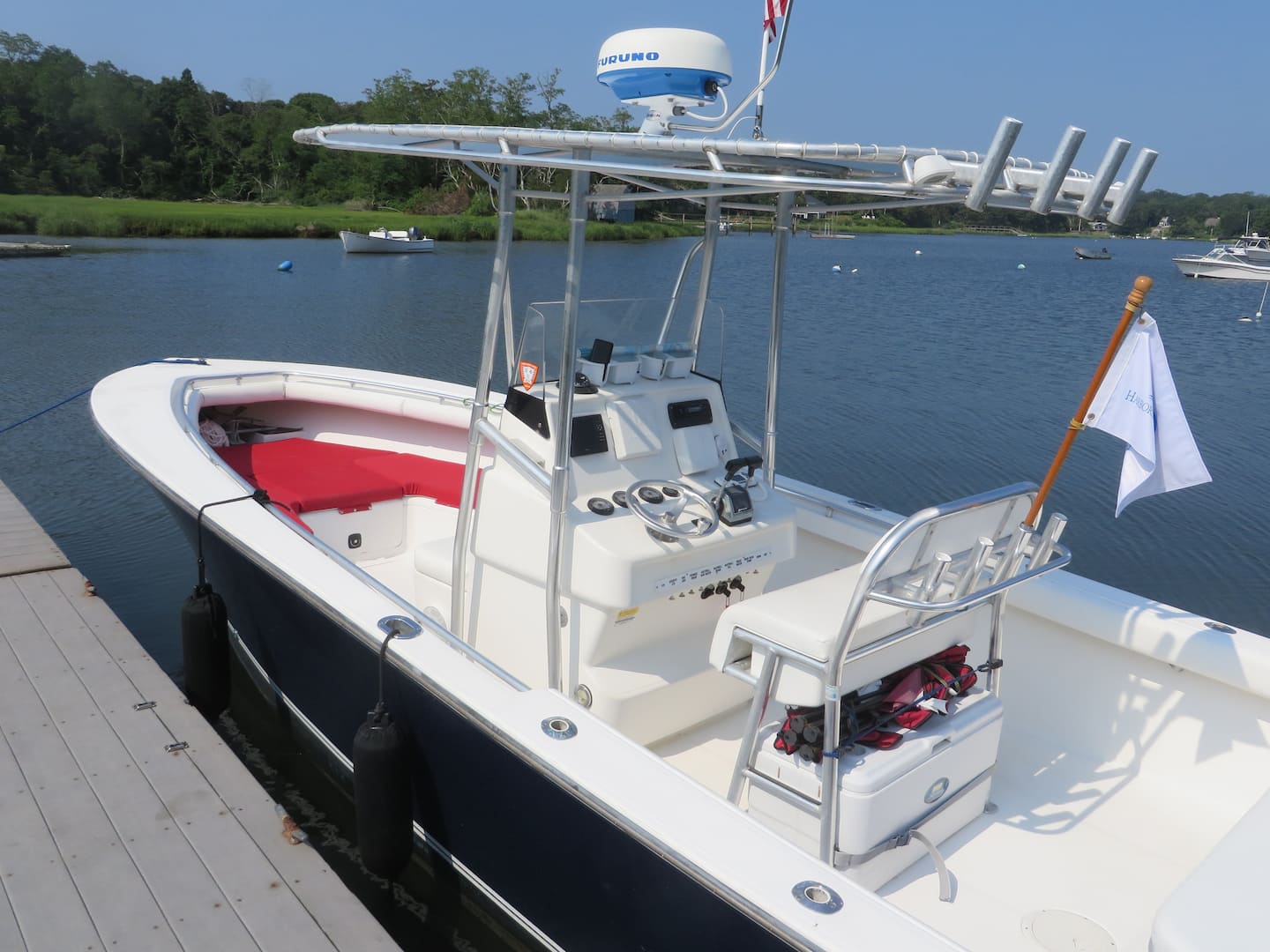 Harbor Seal and Boat Tour - Cape Cod Airbnb Experience