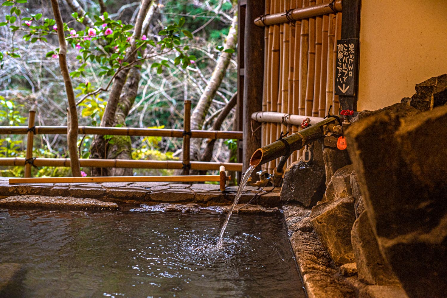 Hotel Sanso Tensui  Onsen, Oita, Japan