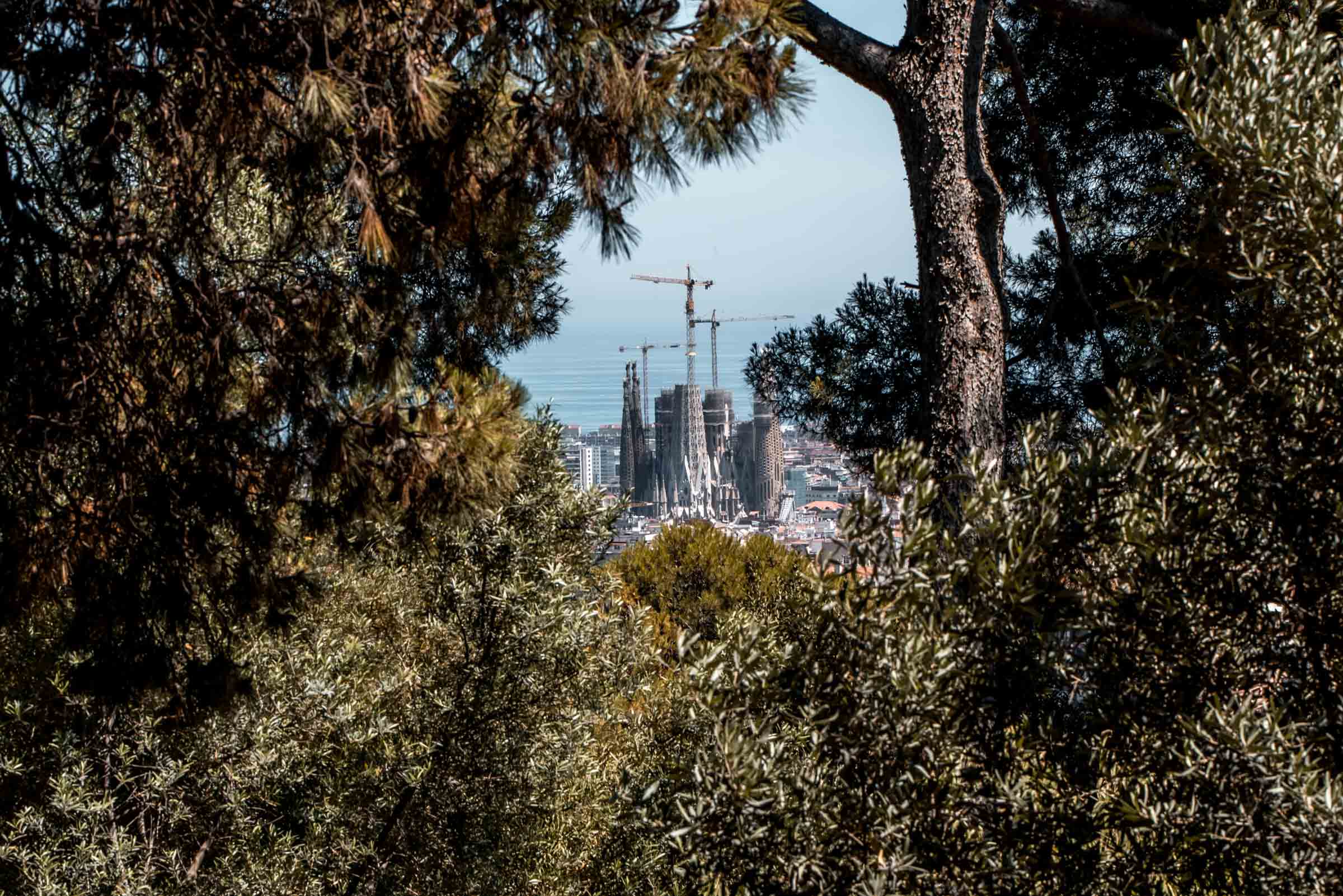 Parc Guell - 48 Hours in Barcelona