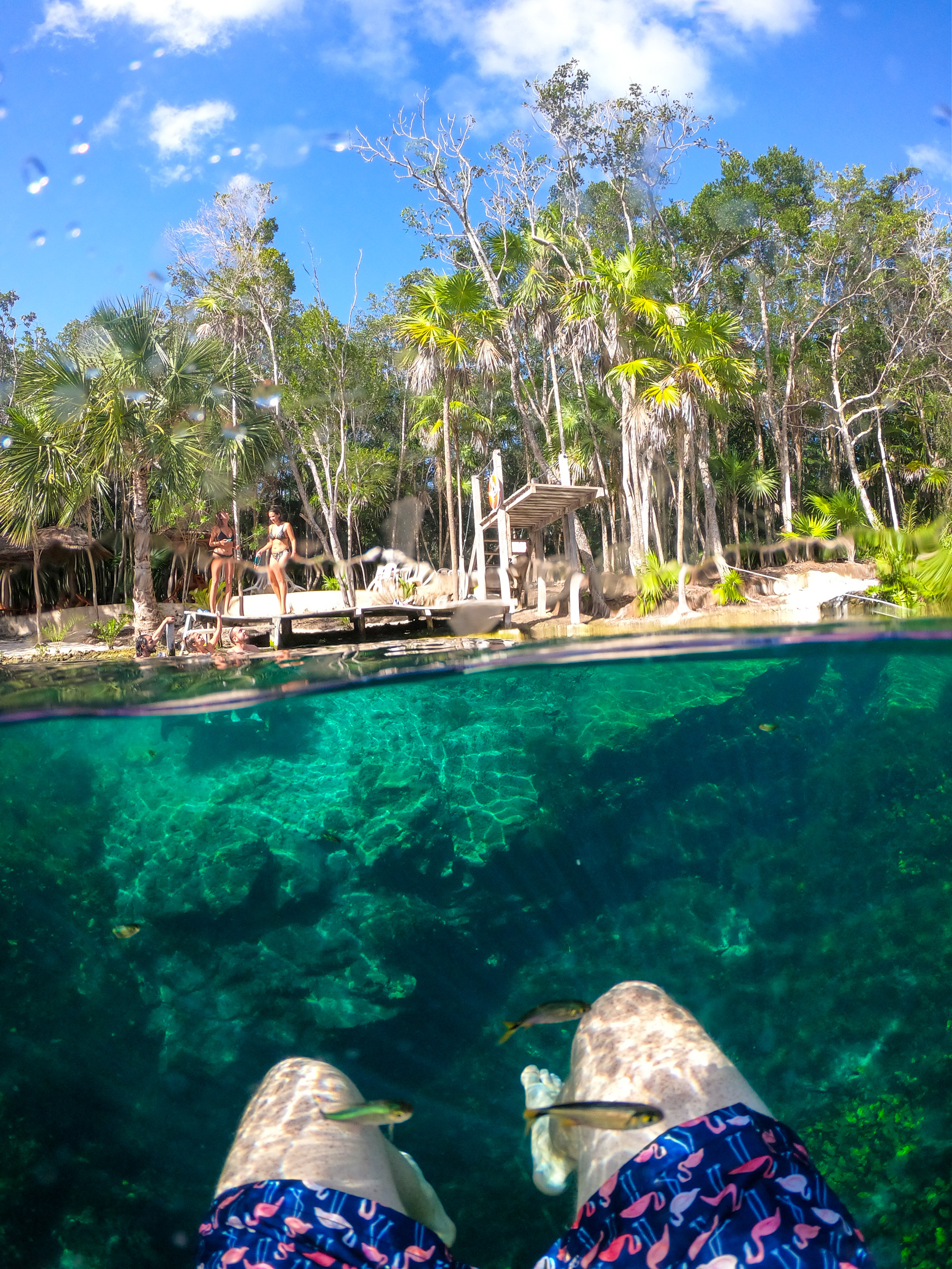 Cenote - Tulum Things to Do 