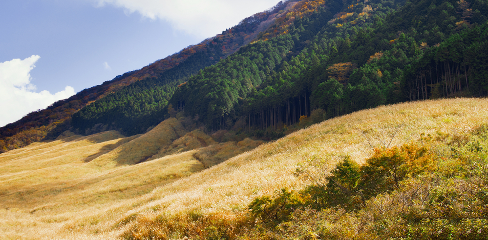 Unique Places To Stay In Hakone