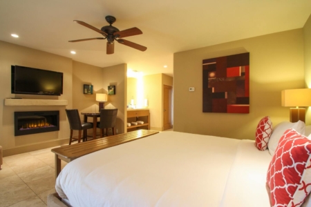 17 BEST Airbnbs in Palm Springs, California: Top Picks for 2022