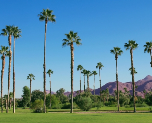 Airbnbs in Palm Springs