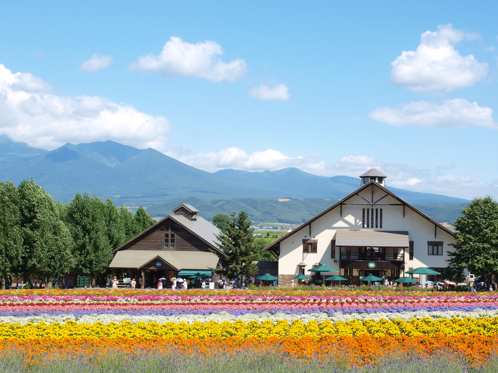 Furano Japan