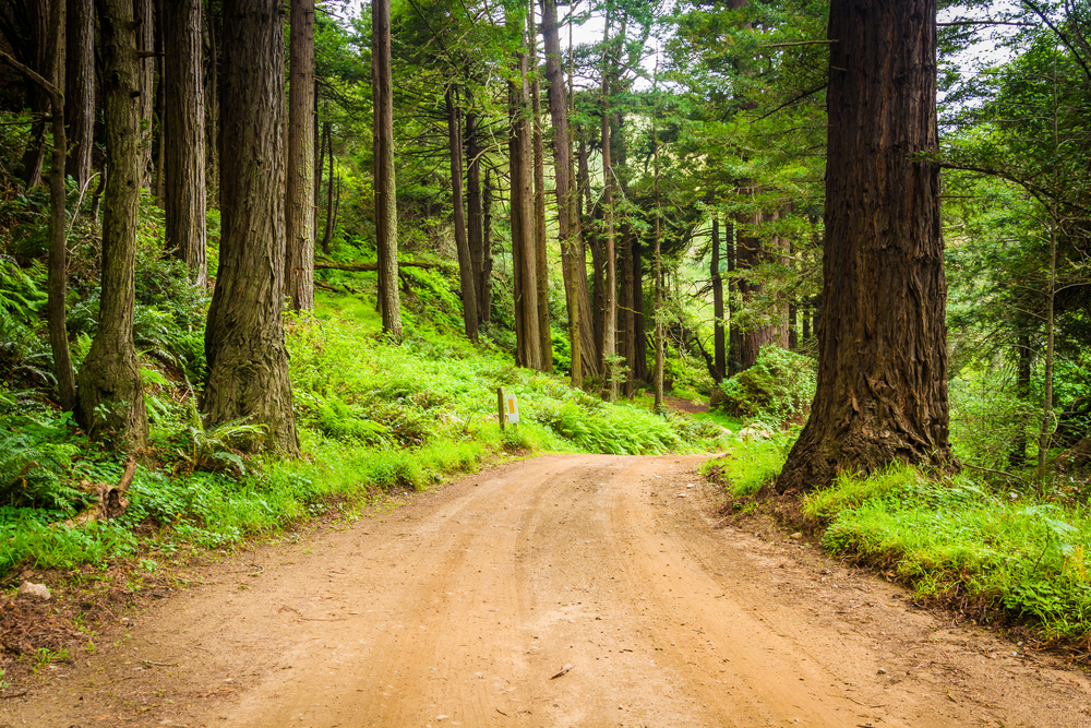 Luxury Big Sur Glamping