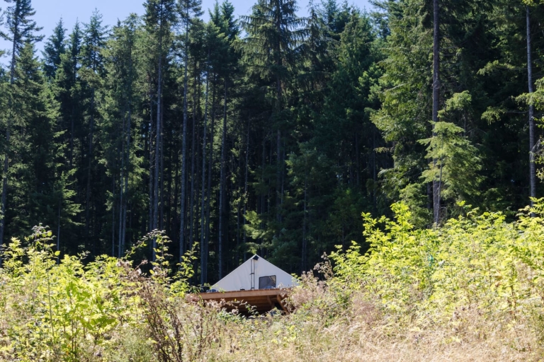 TOP 20 Glamping Washington Sites For Your Bucket List (2023)