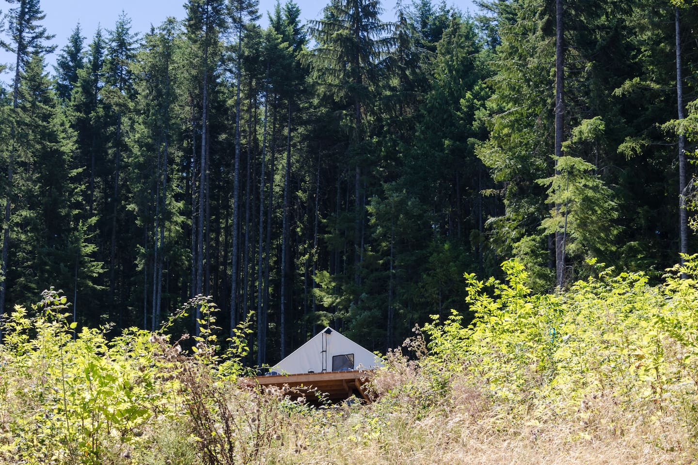 Luxury Washington Glamping