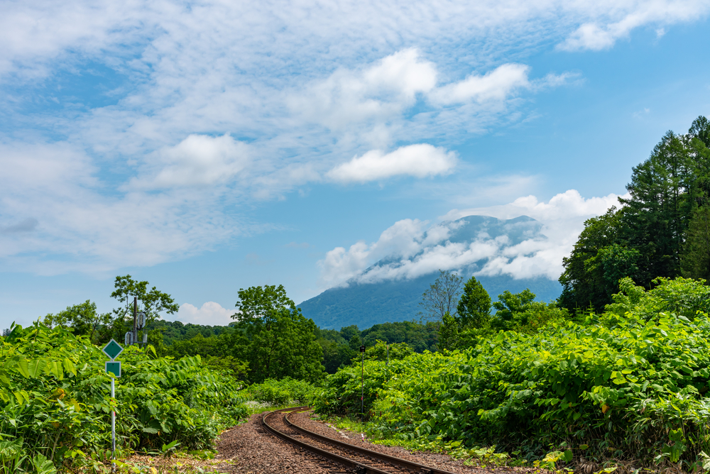 Niseko Things To Do