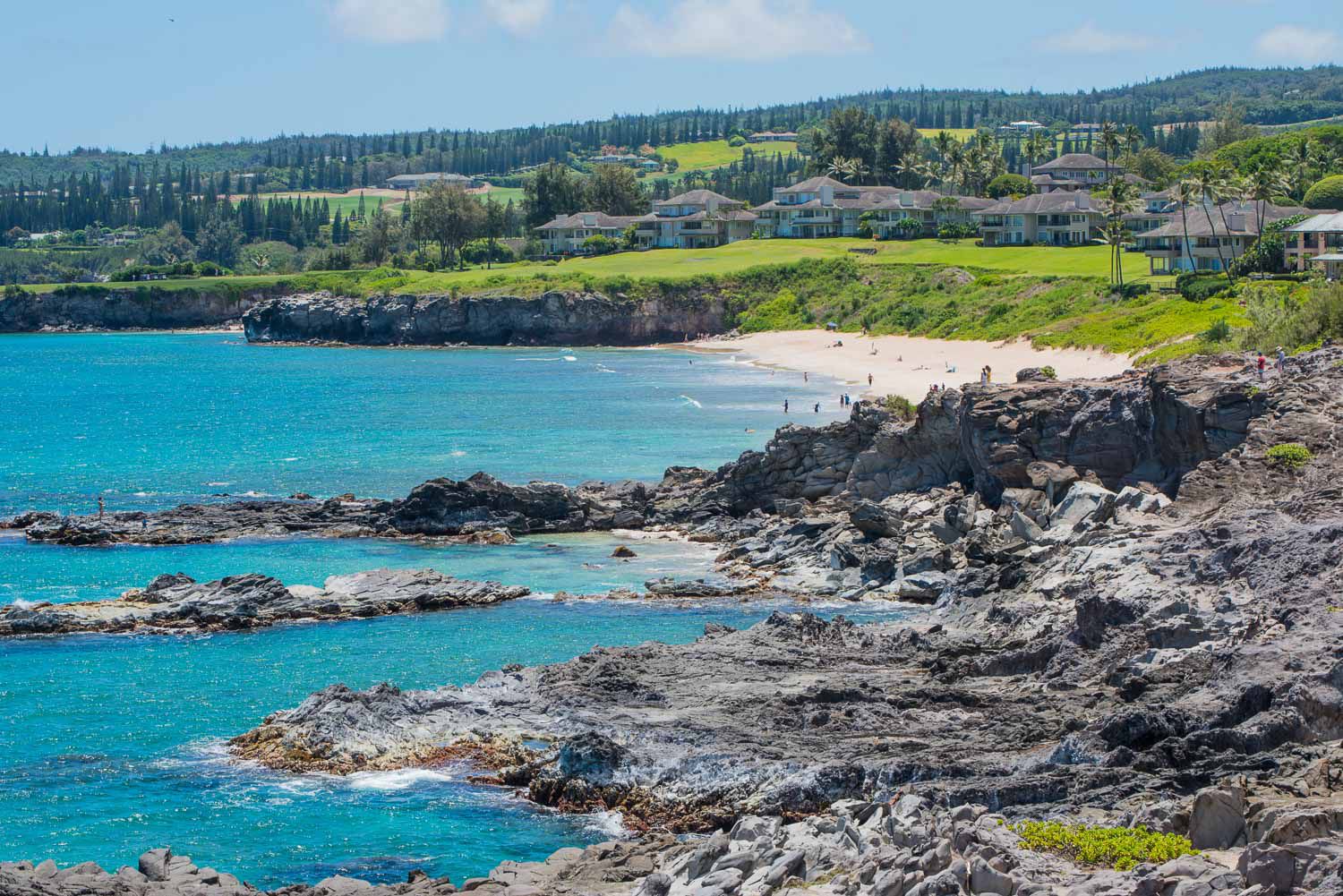 Luxury Maui Airbnbs