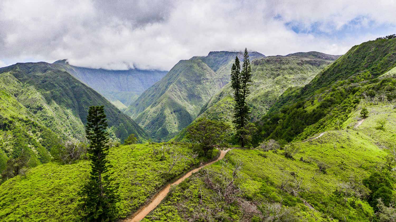 Maui Airbnbs For Families